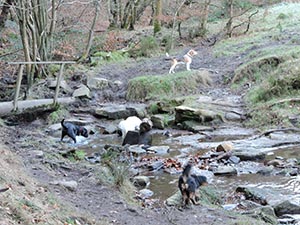 January 2017 Photo 25